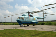 Ukrainian Navy Mil Mi-14BT Haze-B (53 RED) at  Kiev - Igor Sikorsky International Airport (Zhulyany), Ukraine