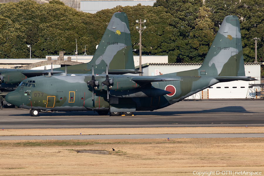 Japan Air Self-Defense Force Lockheed C-130H Hercules (75-1077) | Photo 395100