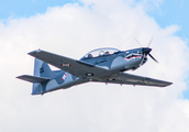 Dominican Republic Air Force (Fuerza Aerea Dominicana) Flying Legend TP-75 Dulus (7500) at  Santo Domingo - San Isidro Air Base, Dominican Republic