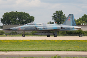 United States Navy Northrop F-5N Tiger II (761571) at  Oshkosh - Wittman Regional, United States