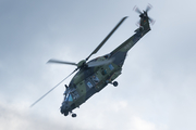 German Army (Heeresflieger) NH Industries NH90-TTH (7814) at  Fassberg AFB, Germany