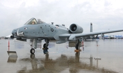 United States Air Force Fairchild Republic A-10A Thunderbolt II (79-0155) at  Tampa - MacDill AFB, United States