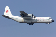 Air Algerie Cargo Lockheed L-100-30 (Model 382G) Hercules (7T-VHL) at  Frankfurt am Main, Germany