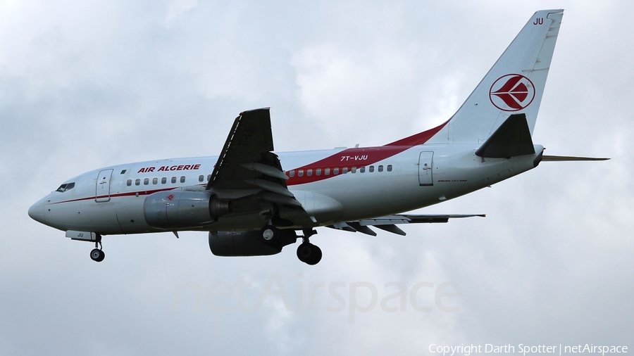 Air Algerie Boeing 737-6D6 (7T-VJU) | Photo 219926
