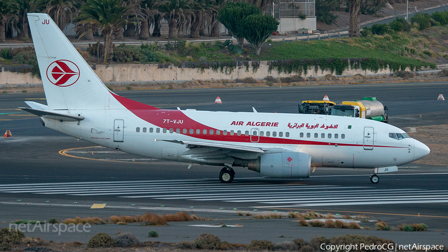 Air Algerie Boeing 737-6D6 (7T-VJU) | Photo 447071
