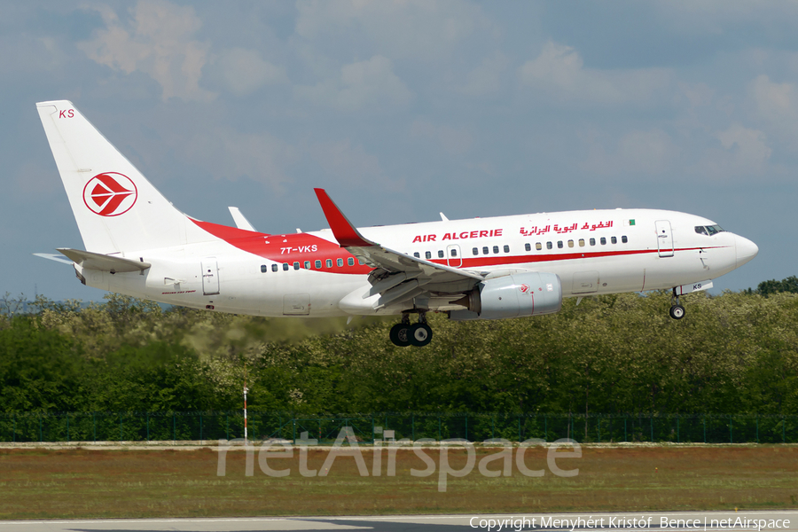 Air Algerie Boeing 737-7D6C (7T-VKS) | Photo 404693