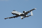 United States Air Force Fairchild Republic A-10C Thunderbolt II (80-0194) at  Titusville - Spacecoast Regional, United States