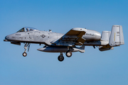 United States Air Force Fairchild Republic A-10A Thunderbolt II (80-0221) at  Schleswig - Jagel Air Base, Germany