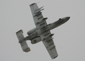 United States Air Force Fairchild Republic A-10A Thunderbolt II (80-0229) at  Las Vegas - Nellis AFB, United States