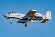 United States Air Force Fairchild Republic A-10C Thunderbolt II (80-0258) at  Schleswig - Jagel Air Base, Germany