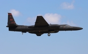 United States Air Force Lockheed U-2S (80-1079) at  Oshkosh - Wittman Regional, United States