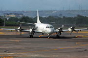 Pakistan Navy Lockheed P-3C Orion (80) at  Denpasar/Bali - Ngurah Rai International, Indonesia