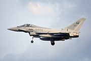 Royal Saudi Air Force Eurofighter Typhoon F2 (8009) at  McGuire Air Force Base, United States