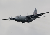 United States Air Force Lockheed C-130H Hercules (81-0629) at  Belfast / Aldergrove - International, United Kingdom