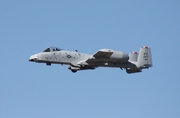 United States Air Force Fairchild Republic A-10C Thunderbolt II (81-0967) at  Titusville - Spacecoast Regional, United States