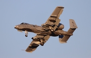 United States Air Force Fairchild Republic A-10C Thunderbolt II (81-0974) at  Tucson - Davis-Monthan AFB, United States