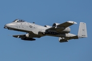 United States Air Force Fairchild Republic A-10A Thunderbolt II (81-0980) at  Oshkosh - Wittman Regional, United States