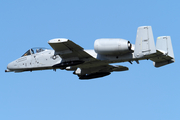 United States Air Force Fairchild Republic A-10A Thunderbolt II (81-0980) at  Oshkosh - Wittman Regional, United States