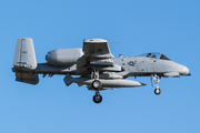 United States Air Force Fairchild Republic A-10A Thunderbolt II (81-0980) at  Sevilla - Moron de la Frontera, Spain