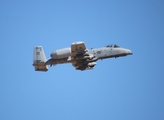 United States Air Force Fairchild Republic A-10C Thunderbolt II (81-0981) at  Tucson - Davis-Monthan AFB, United States