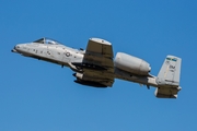 United States Air Force Fairchild Republic A-10C Thunderbolt II (81-0981) at  Oshkosh - Wittman Regional, United States