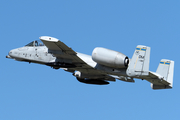 United States Air Force Fairchild Republic A-10C Thunderbolt II (81-0981) at  Oshkosh - Wittman Regional, United States