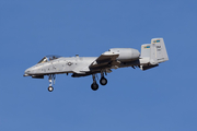 United States Air Force Fairchild Republic A-10C Thunderbolt II (81-0983) at  Tucson - Davis-Monthan AFB, United States
