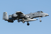 United States Air Force Fairchild Republic A-10C Thunderbolt II (81-0983) at  Sevilla - Moron de la Frontera, Spain