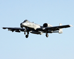 United States Air Force Fairchild Republic A-10C Thunderbolt II (81-0998) at  Schleswig - Jagel Air Base, Germany