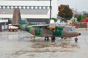 Zimbabwean Air Force CASA C-212-200 Aviocar (810) at  Harare - International, Zimbabwe
