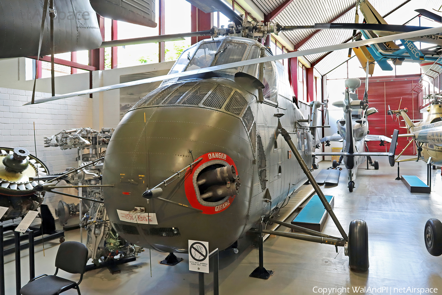 German Army Sikorsky H-34GIII (8109) | Photo 537356