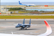 Japan Air Self-Defense Force McDonnell Douglas F-15J Eagle (82-8899) at  Okinawa - Naha, Japan