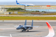 Japan Air Self-Defense Force McDonnell Douglas F-15J Eagle (82-8899) at  Okinawa - Naha, Japan