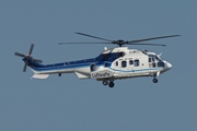 German Air Force (Luftwaffe) Eurocopter AS532U2 Cougar Mk2 (8203) at  Berlin - Tegel, Germany
