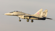 Polish Air Force (Siły Powietrzne) Mikoyan-Gurevich MiG-29A Fulcrum (83) at  Malbork, Poland