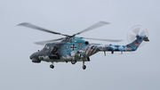 German Navy (Marineflieger) Westland Super Lynx Mk.88 (8302) at  Schleswig - Jagel Air Base, Germany