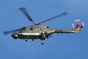 German Navy (Marineflieger) Westland Lynx Mk.88 (8306) at  Hamburg - Fuhlsbuettel (Helmut Schmidt), Germany