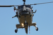 German Navy Westland Super Lynx Mk.88A (8323) at  Bienenfarm, Germany