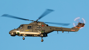 German Navy (Marineflieger) Westland Super Lynx Mk.88A (8325) at  Nordholz - NAB, Germany