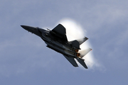 Singapore Air Force McDonnell Douglas F-15SG Strike Eagle (8325) at  Singapore - Changi, Singapore
