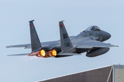 United States Air Force McDonnell Douglas F-15C Eagle (84-0010) at  Hohn - NATO Flugplatz, Germany