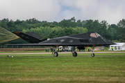 United States Air Force Lockheed F-117A Nighthawk (84-0825) at  RAF Fairford, United Kingdom