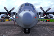 Swedish Air Force (Flygvapnet) Lockheed KC-130H Hercules (84002) at  Ostrava - Leos Janacek, Czech Republic