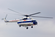 Vietnam People's Air Force Mil Mi-17 Hip-H (8411) at  Da Nang International, Vietnam