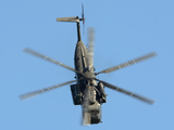 German Air Force (Luftwaffe) Sikorsky CH-53G Super Stallion (8438) at  Schleswig - Jagel Air Base, Germany