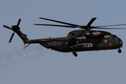 German Army Sikorsky CH-53G Super Stallion (8439) at  Berlin - Schoenefeld, Germany