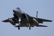 United States Air Force McDonnell Douglas F-15C Eagle (85-0096) at  Leeuwarden Air Base, Netherlands