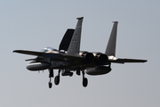 United States Air Force McDonnell Douglas F-15C Eagle (85-0102) at  Leeuwarden Air Base, Netherlands