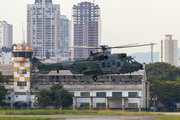 Brazilian Air Force (Forca Aerea Brasileira) Eurocopter H-36 Caracal (FAB8517) at  Campo de Marte, Brazil