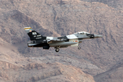 United States Air Force General Dynamics F-16C Fighting Falcon (86-0280) at  Las Vegas - Nellis AFB, United States